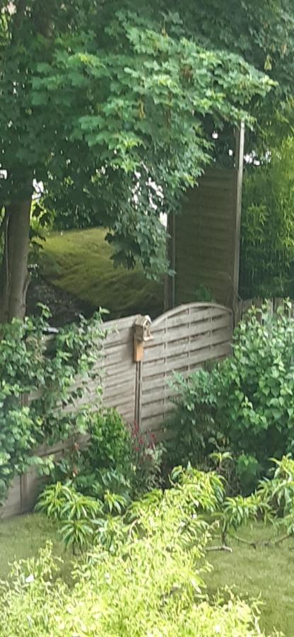 La P'Tite Maison Charleroi Luaran gambar